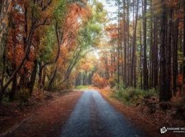 Adrema, hotel v destinaci Jendouba