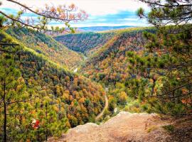 Scenic Ridge Haven Firepit, Trails & Views, hotel in Tioga