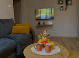 Apartman Momirov Titel