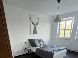 3-Raum-Wohnung beim Luther