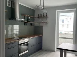 Стильні апартаменти з двома окремими спальнями з панорамним видом на Дніпро!