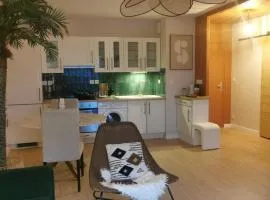 Beautiful cocooning apartment