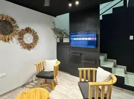 Modern duplex in a residential area