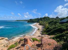 Turtle Beach Hotel Calibishie, hotel v destinaci Woodford Hill