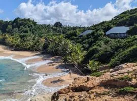 Turtle Beach villa, Private beach