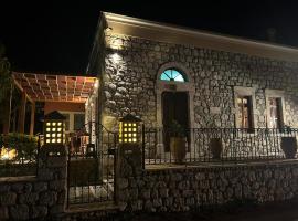 Villa To Petrino, hotel en Vathís