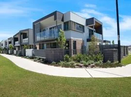 Serendipity Shell Cove