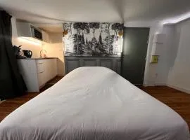 L'absinthe au coeur de Metz