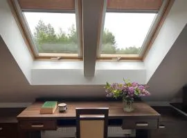 Agroturystyka Kruszyna