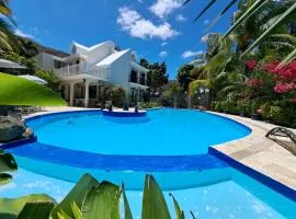Villa Tourelle of Paradise with bigPrivate Pool