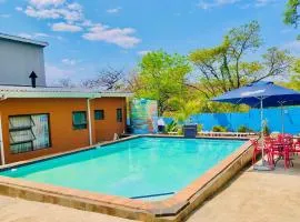 Woodpecker's Guest House
