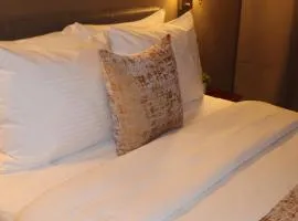 TB Hotel Downtown Miami - Deluxe Room Accessible