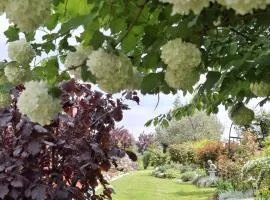Eichenhäuschen - Tinyhouse im Weinviertel