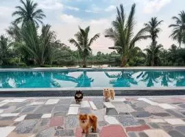 Ninh Binh Peaceful Retreat