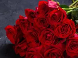 Love Paradise Hotel Hà Nội