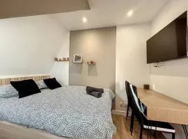 Studio Le Cesson sous les toits - Proche gare