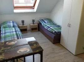 FLEX Aparts - große, möblierte Wohnung in Zwickau mit 2 Zimmern