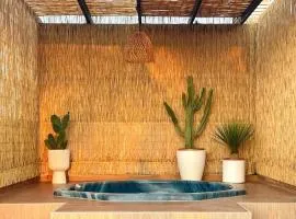 TrendyHomes Laguna Beach