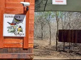 Sunbirds at Kruger