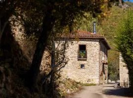 Genciana, el encanto en La Montaña Leonesa