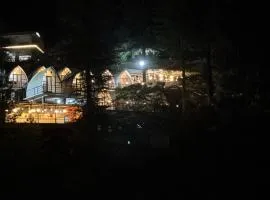 Hilltop camp kasol