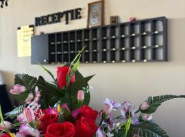 Hotel Abi, ξενοδοχείο σε Baile Felix