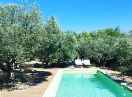 La Matina Family Haven with Olive Garden Oasis