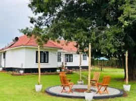 2-bed farmhouse on 85-acre tea estate pool - 2331