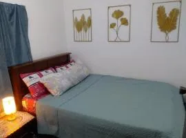 The G-Suite Transient House