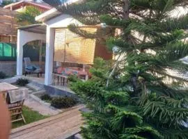 Cilaos Gite Cryptomeria Saint les Fiaos o693-70-59 79