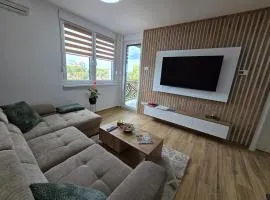 Stan na dan Platinum