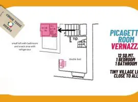 Picagetta Tiny Room with AC