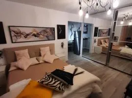 RELAX ap TIMISOARA