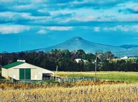 Charming Farmhouse w King Bed Hot Tub & EV Charger, hotel 