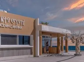 New & Amazing condo @ Encantame W604