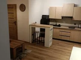 Apartament w Słupcu na Radkowskiej