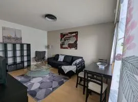 Spacious two-room apartment by the lake