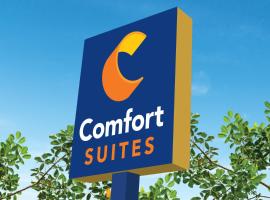 Comfort Inn & Suites Orlando Sanford Airport, hotel in Sanford
