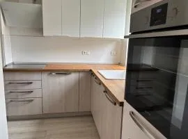 Gästewohnung Rosengarten- Damaschke Straße