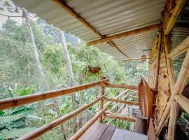 HOSTARA Colibries, Biodiversidad y Protección