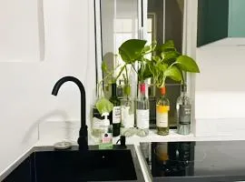 02-Hermoso apt en el centro de mty