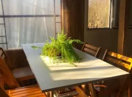 la casa en el rio II