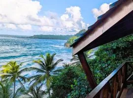 Turtle Beach villa, Private beach