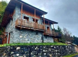 Chalet rénové calme, terrasse, animaux acceptés, parking, WiFi - FR-1-346-597