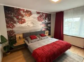 Modernes Apartment 1 mit eigener Küche & Bad - Schuster Homes -