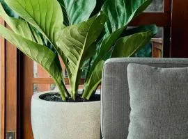 Iron Oak Villa Bali - nearby Canggu