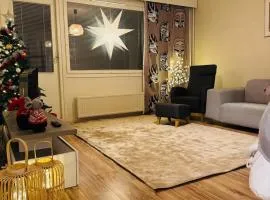 Cozy apartment in Rovaniemi!