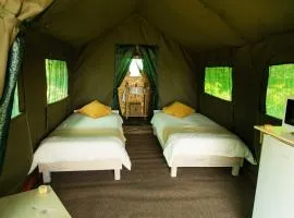 Safari Glamping Portugal Elephant