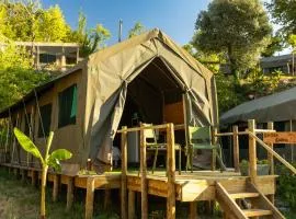 Safari Glamping Portugal Shark