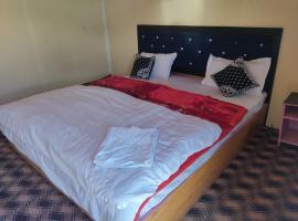 Pangong view point cottage，位于斯潘格米克的山林小屋